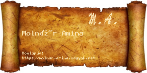 Molnár Amina névjegykártya